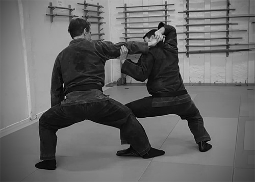 Ninjutsu techniques