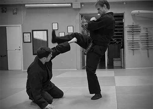 Ninjutsu techniques