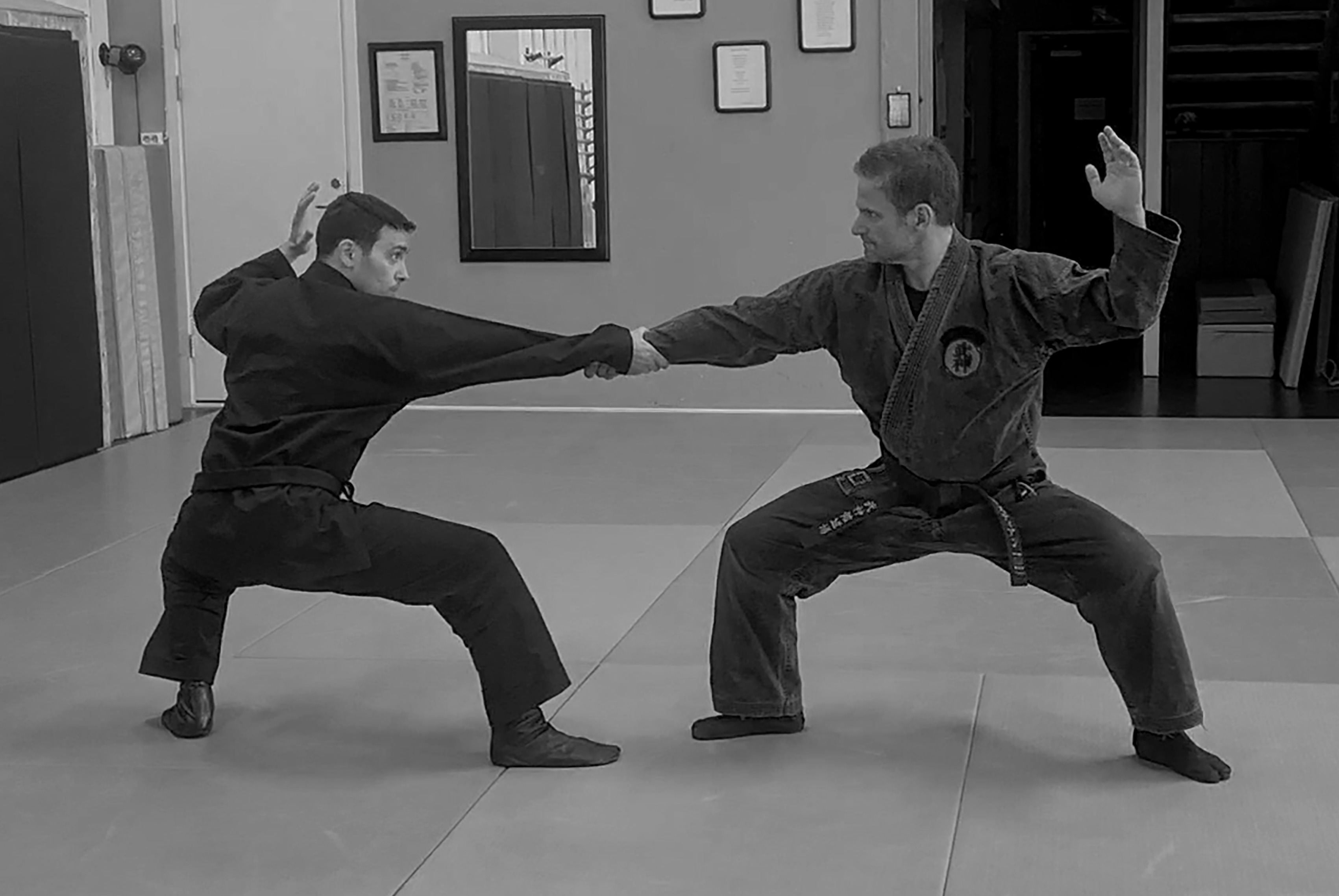 Bujinkan Dojo Ninjutsu Gamlestaden Nico Kribbe